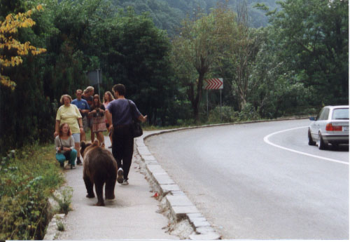 Chlap s medvědem v Sinaie