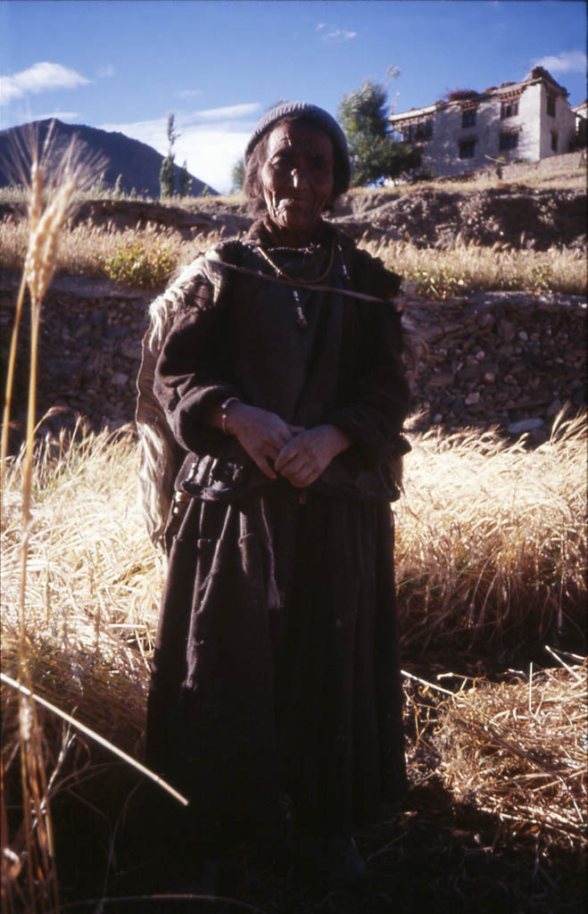 Obyvatelka Lamayuru při sklizni obilí